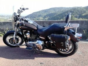 Sacoche Myleatherbikes Harley Dyna Low Rider (55)